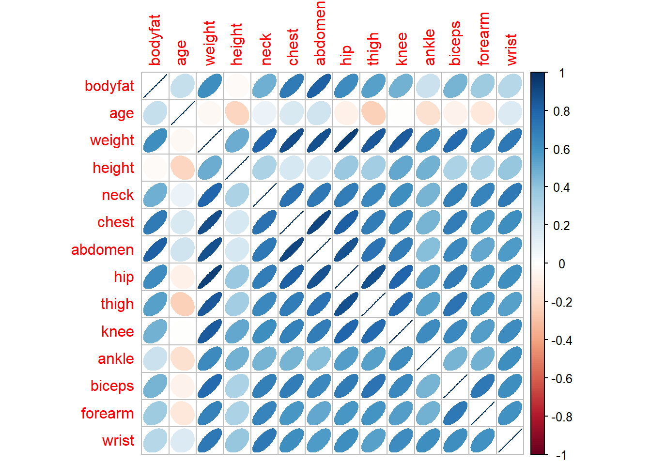 Representación de las correlaciones lineales entre las variables del conjunto de datos bodyfat, generada con la función corrplot::corrplot().